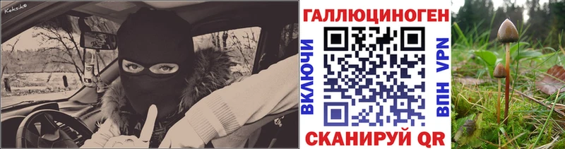 Купить закладки  Вихоревка  Галлюциногенные грибы Magic Shrooms 